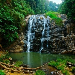 Bangalore Coorg Tour 3N/4D